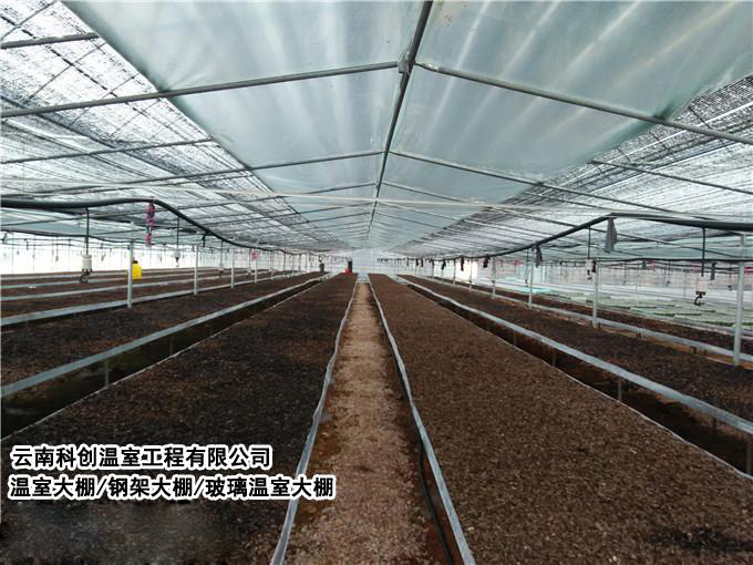 云南科创温室工程有限公司提供温室大棚、温室大棚设计、农业温室大棚